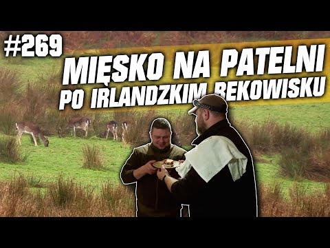 Darz Bór odc 269 - Mięsko na patelni po Irlandzkim Bekowisku