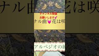 オリジナル曲💓花は咲く🌈#アルペジオ #ギター練習 #オリジナル曲弾き語り #チャンネル登録よろしくね