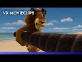 Madagascar 2005 Getting Melman Out Of The Box VX Movieclips