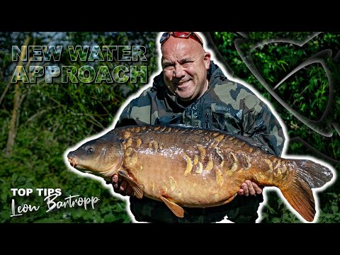 Succeed On A New Venue with These Top Tips- Carp Fishing Tactics 👌