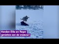 Sneeuw in de Achterhoek