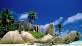 Warp Brothers - We Will Survive (Club Mix) (Hard House) (8:03) (HQ)