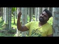 kaalindiyil cover song by sarang pulloor