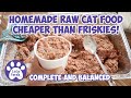 Homemade Raw Cat Food Recipe That S Cheaper Than Friskies S6 E3 Complete Balanced Raw Cat Food