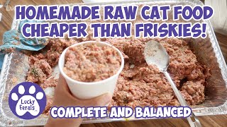 Homemade Raw Cat Food Recipe That