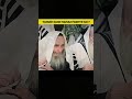 Yahudi Kaise Namaz Padhte Hai Illuminati Islamic Shorts Deenkibaat