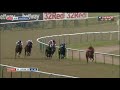 Racehorse shows incredible burst of speed