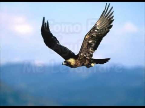 A LOS QUE EN TI ESPERAN