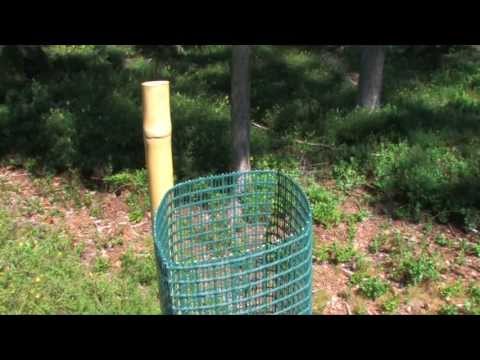 Baumschutz / Forstschutz Aufbau Gitternetze - Witasek PflanzenSchutz