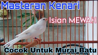 Download lagu Masteran Kenari ISIAN MEWAH COCOK UNTUK MURAI BATU mp3 Download lagu Masteran Kenari ISIAN MEWAH COCOK UNTUK MURAI BATU mp3