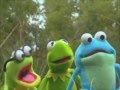 Kermit S Swamp Years