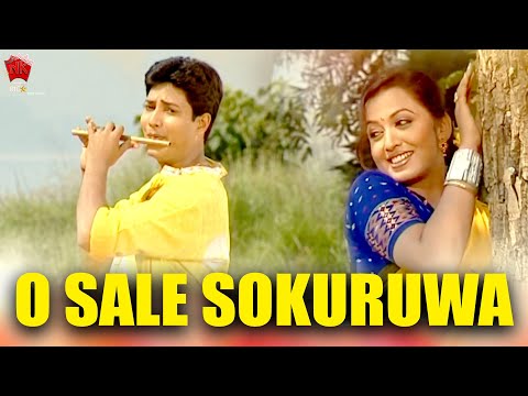 O SALE SOKURUWA | JAANMONI 2008 | VOL 2 | ASSAMESE MUSIC VIDEO | ZUBEEN GARG | BIHU SONG