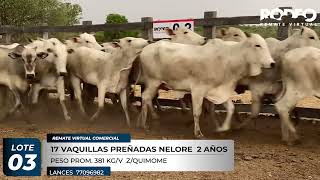 LOTE 3
