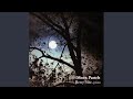 A Song from Home