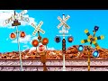A Railroad Crossing That Saves Unconscious Railroad Crossing