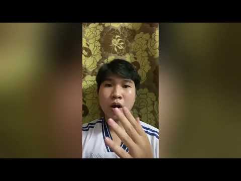 私の隣人 (My Neighborhood)