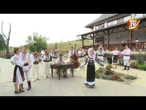 Adriana Ochisanu   Pe toloaca satului