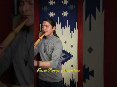 You Raise Me Up #shorts #instrumental #panflute