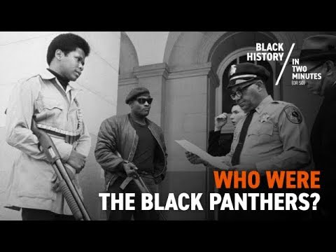 The Birth of the Black Panthers