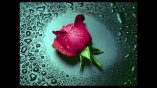 (Instrumental) I Will Always Love You (Richard Clayderman)