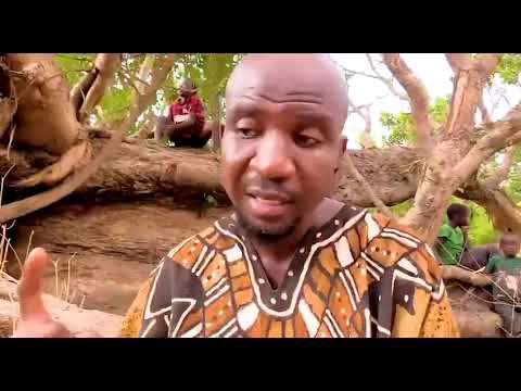 Mariko Baba - Histoire de Faladje Papus ( Clip Officiel 2022 )