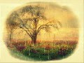 YESTERDAY´S DREAMS, NANA MOUSKOURI