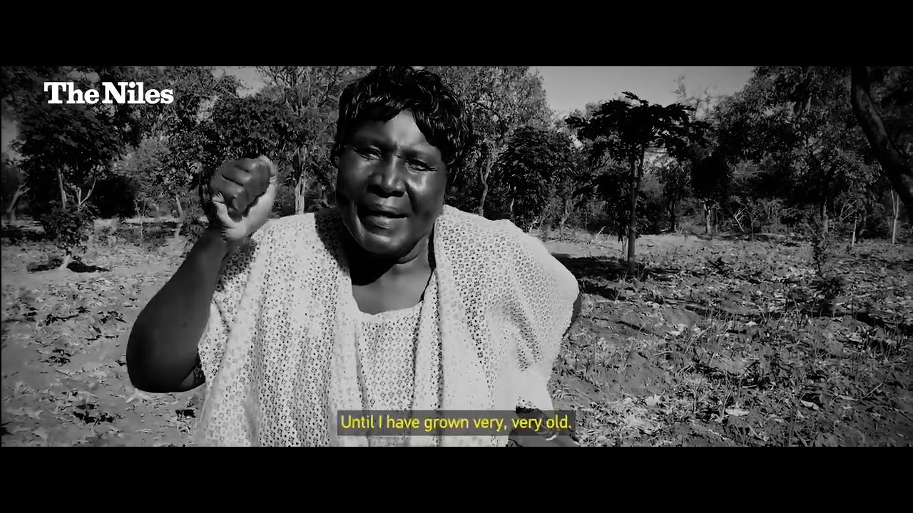 ‘I will plant lots and lots of trees’ (Song)