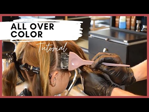 All Over Hair Color - Single Process Color Application...