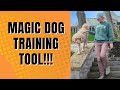 Use This Tool When Off Leash Training Your Dog!