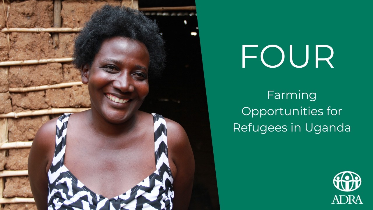 FOUR Project: Edisa's Story of Resilience