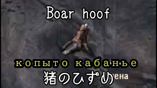 Slice of STALKER Shadow of Chernobyl: Important Russian Vocabulary