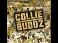 Collie Buddz - [ Collie Buddz ] Blind To You HQ ...
