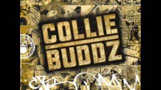 Collie Buddz - [ Collie Buddz ] Blind To You  HQ