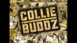Download lagu Collie Buddz - [ Collie Buddz ] Blind To You  HQ mp3