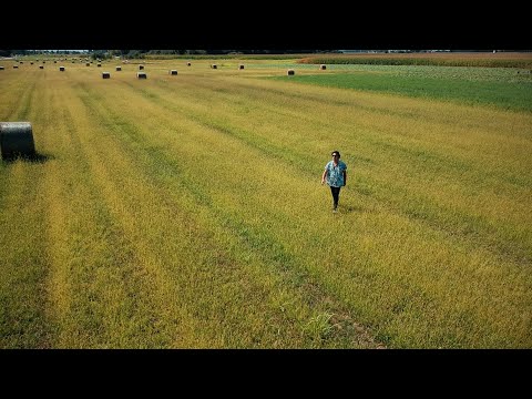Samoo - Hopes (Official Video)