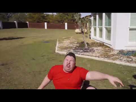 oompaville hurts nikocado avocado