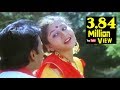 செம்பருத்தி செம்பருத்தி பூவைபோலே பெ�