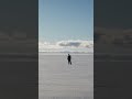 Watch “The Last Ice Age” by Adam Loften and Emmanuel Vaughan-Lee