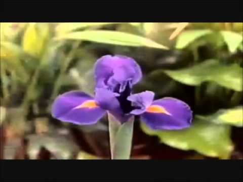 PRAE Campaña Agua y Energía - Part 1