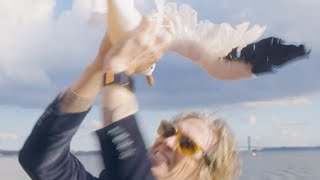 Fantastic Cat & Anthony D'amato - The Gig video