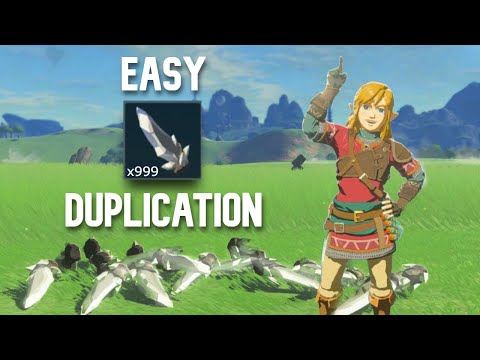 This is the NEW EASIEST ITEM DUPE in Tears of the Kingdom! (All Versions)