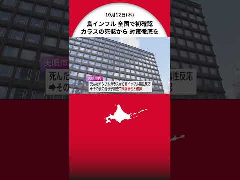 鳥インフルエンザについて詳しく解説