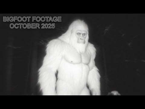 All of the Best New Bigfoot Footage in One Video! *CLEAR VIDEOS*