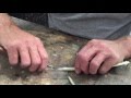 How to cut a quill pen