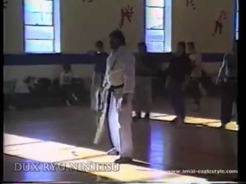 download lagu mp3 mp4 Dux Ryu Ninjutsu Training, download lagu Dux Ryu Ninjutsu Training gratis, unduh video klip Dux Ryu Ninjutsu Training