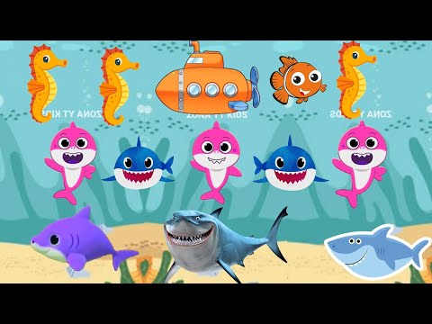 Bebê tubarão nadando no oceano com golfinho polvo cores peixes rimas infantis música infantil