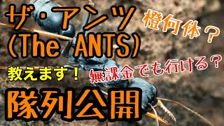 【ザ･アンツ(The Ants)】初up 隊列公開！橙アリ育成 ありのやつ