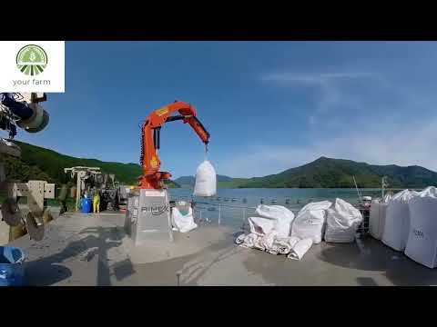 Billions of Mussels Raised By This Modern Technique - Mussel Farming Process and Harvesting 2023