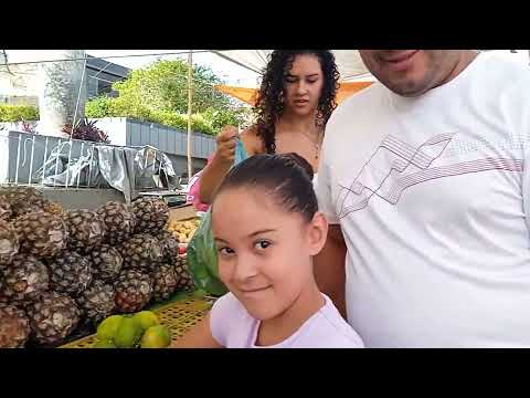 Feira livre de Canhotinho Pe 06/12/25