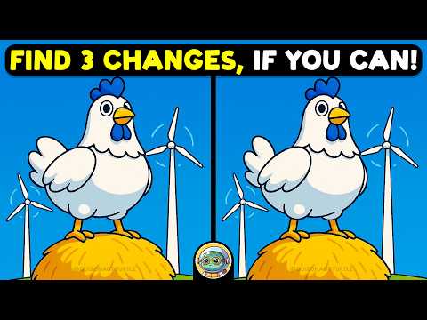 🐢🧩 Spot The Difference | Expert Challenge Edition 🧩🐢 | Quizonaut Turtle